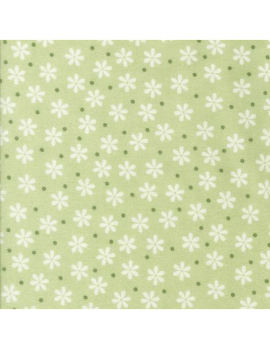 Cozy Cotton Flannel RK8978-41 celery