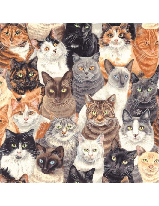 Crowded Cats 80680 