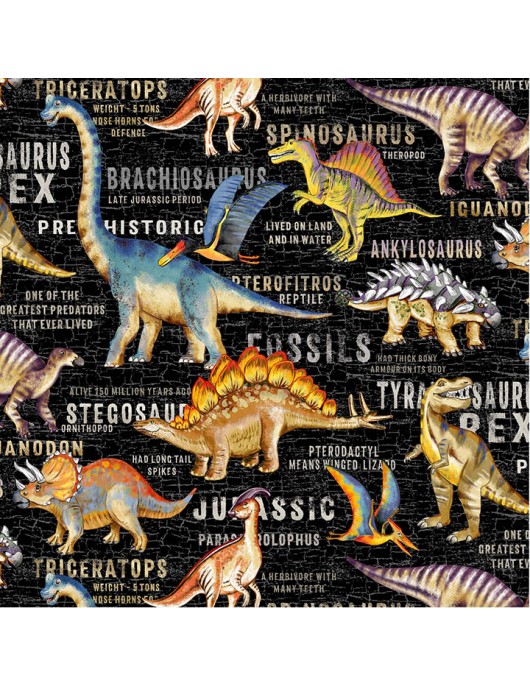 Dinosaurs 2091-11144 Black