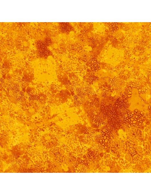 De's Texture Basics 0225S orange