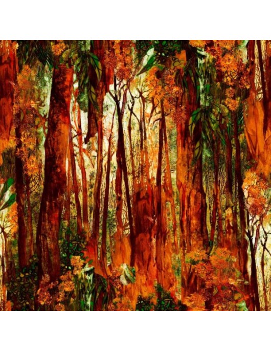 Eucalyptus Hinterland 3012 L Forest orange