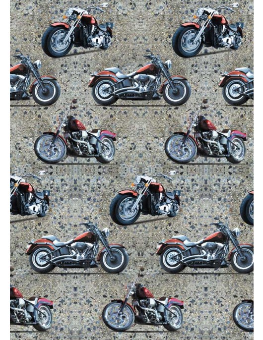 Motorbikes 6036-9