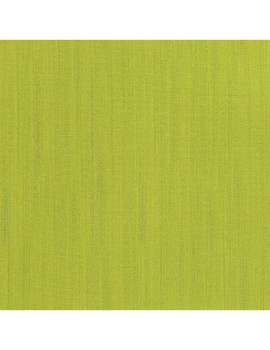 Raw Silk 2067-18 lime green