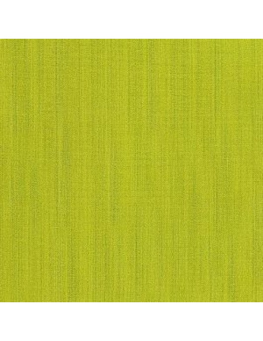 Raw Silk 2067-23 grass green