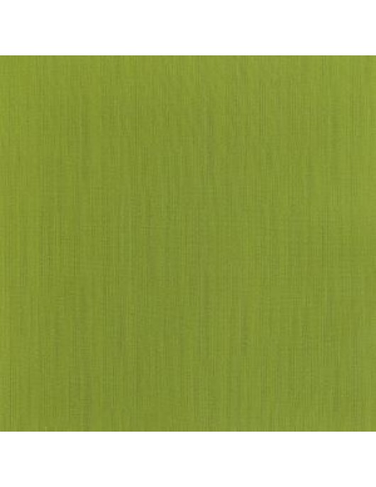 Raw Silk 2067-38 bright green